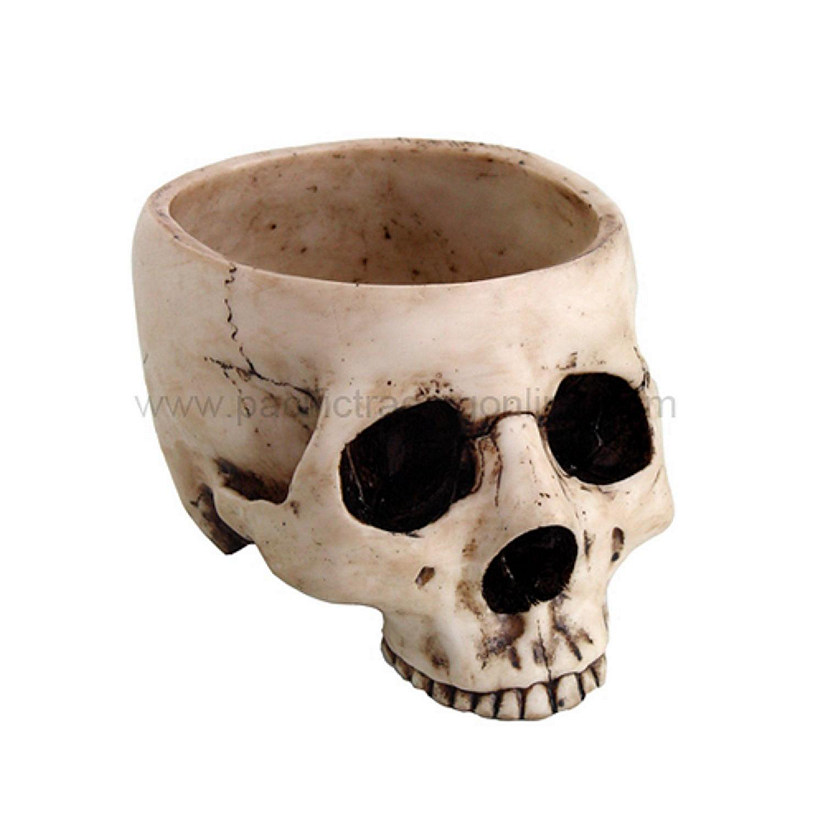 Skeleton Skull Medium Kitchen Bowl Figurine Image