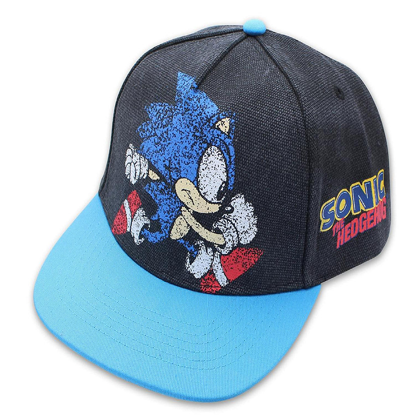 Sonic the Hedgehog Adjustable Distressed Baseball Hat  One Size Image
