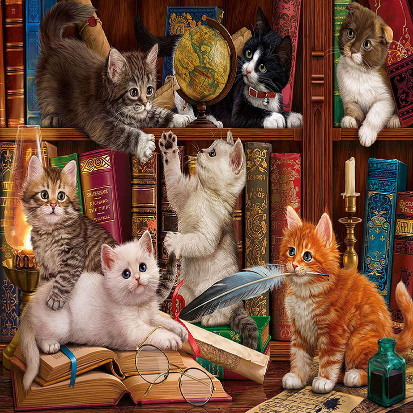 Sunsout Library Kittens 1000 pc  Jigsaw Puzzle Image