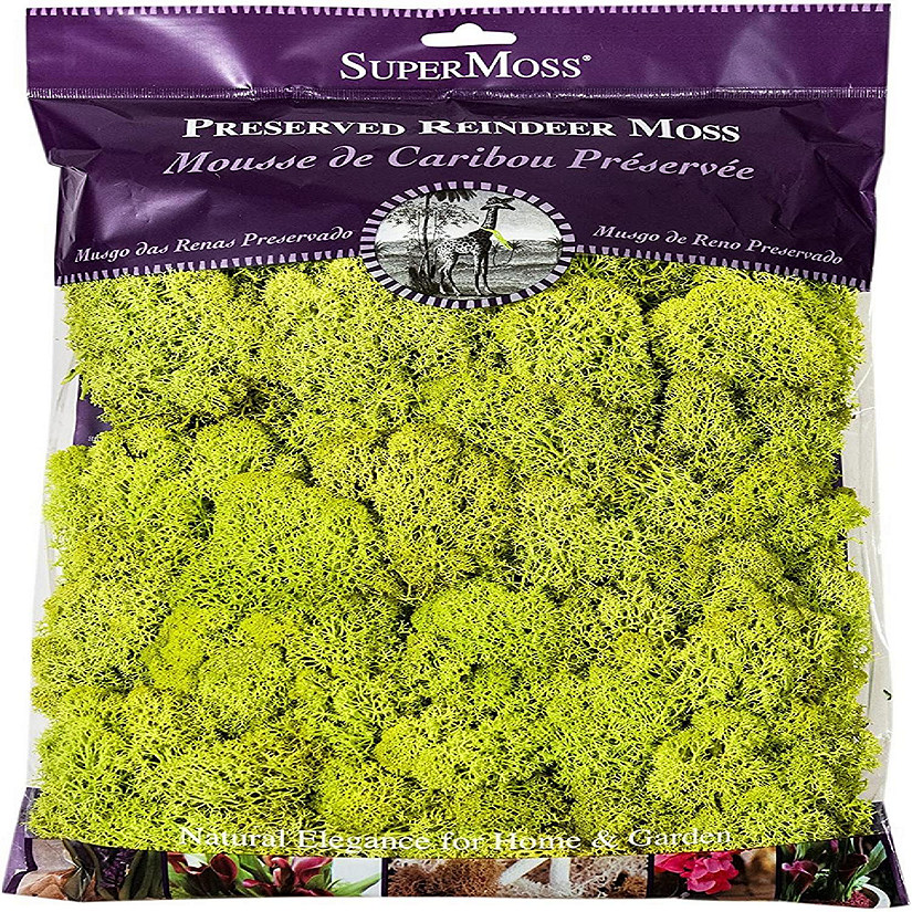Super Moss 21669 Reindeer Moss Preserved, Chartreuse, 8oz (200 cubic inch) Image