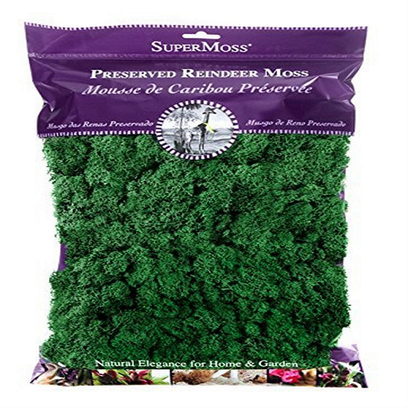SuperMoss 21757 Reindeer Moss Preserved, Forest, 8oz 200 cubic inch Image