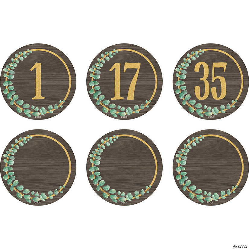 Teacher Created Resources Eucalyptus Numbers Magnetic Accents, 2-1/4", 42 Per Pack, 3 Packs Image