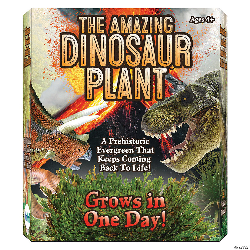 The Amazing Dinosaur Plant Image