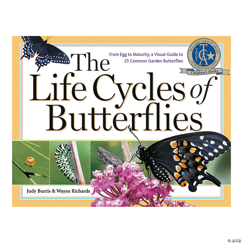 The Life Cycles of Butterflies Image