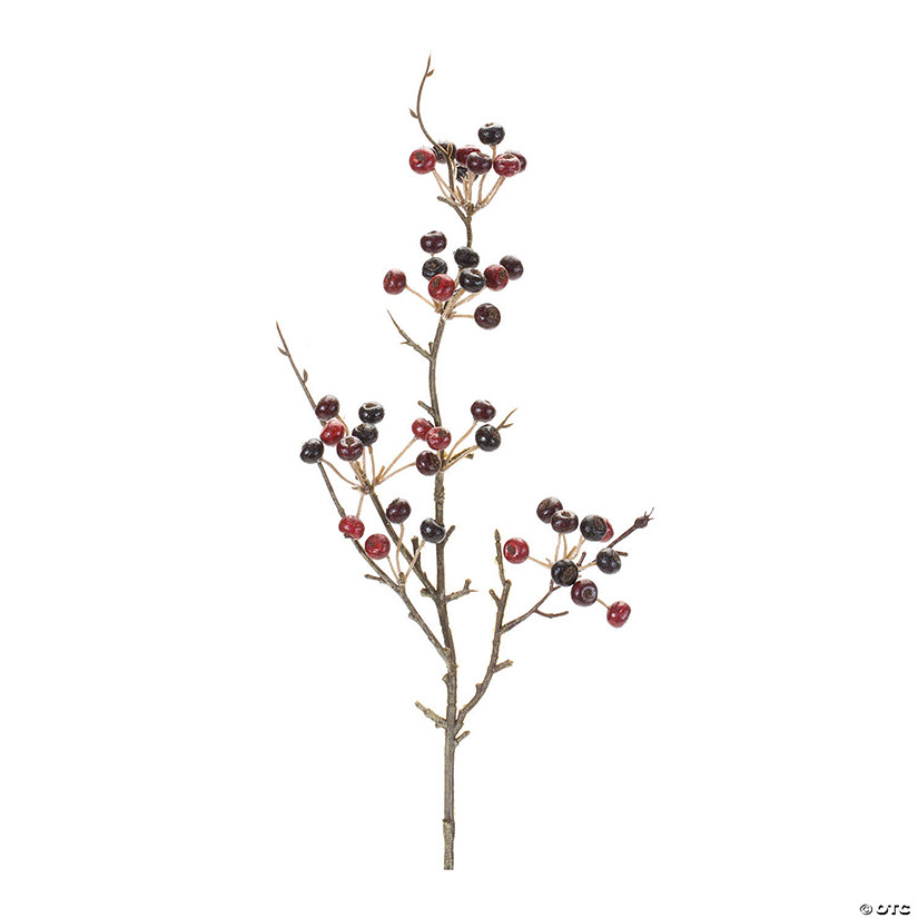 Variegated Red Berry Pod Spray (Set of 12) Image