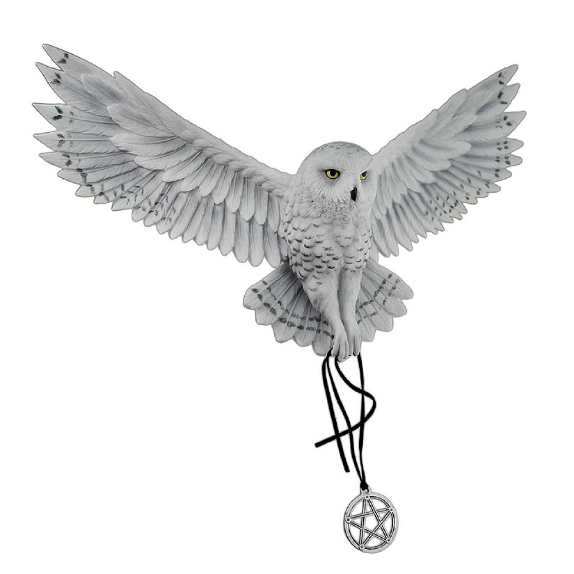 Veronese Design Anne Stokes Awaken Your Magic Snowy Owl with Pentagram Pendant Wall Sculpture Image
