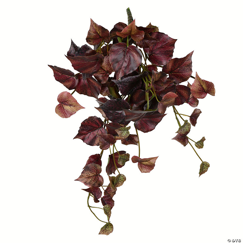 Vickerman 18" Artificial Burgundy Grape Leaf Hanging Bush, Set of 3 Image