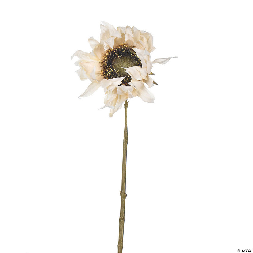 Vickerman 24" Artificial Ivory Sunflower Stem - 4/pk Image