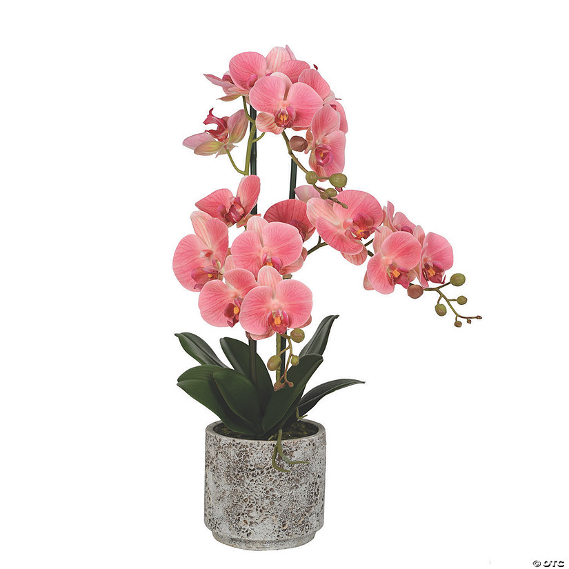 Vickerman 24" Artificial White Phalaenopsis In Cement Pot, Real Touch Petals Image
