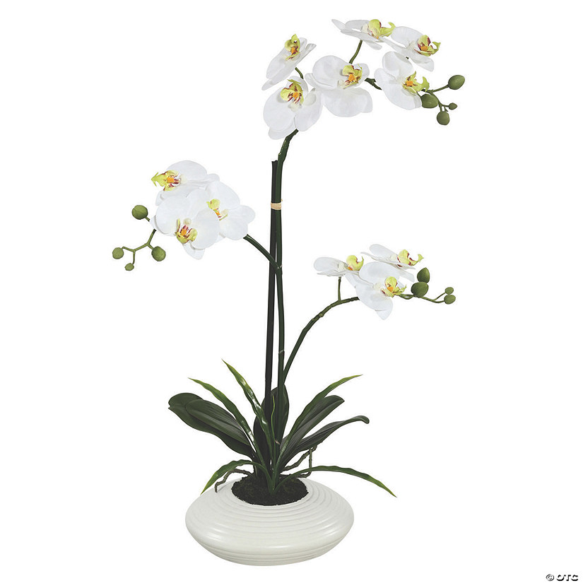 Vickerman 25" Artificial White Orchid Image
