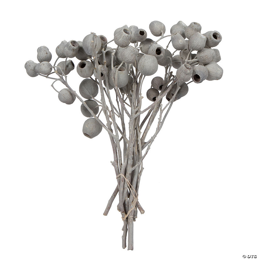 Vickerman Natural Botanicals 11" x 4" Bellgum Branch, 5-7 Bells, Ivory Frosted, 10 stems per unit Image