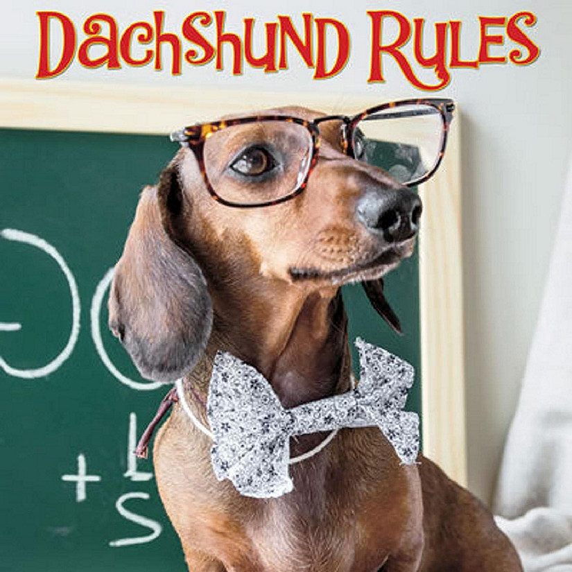 Willow Creek Press Book Dachshund Rules Image