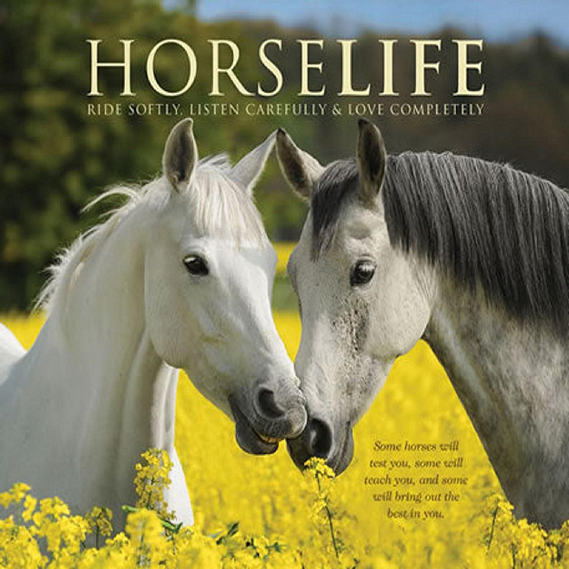 Willow Creek Press Book Horselife Image