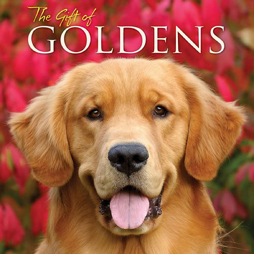 Willow Creek Press Book The Gift Of Goldens Image