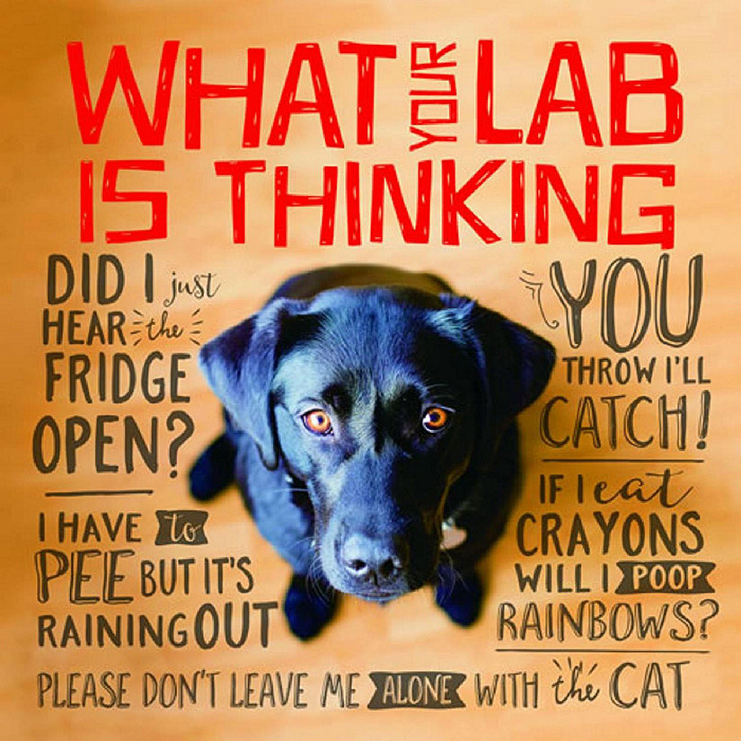 Willow Creek Press Book What Your Lab is Thinking Image