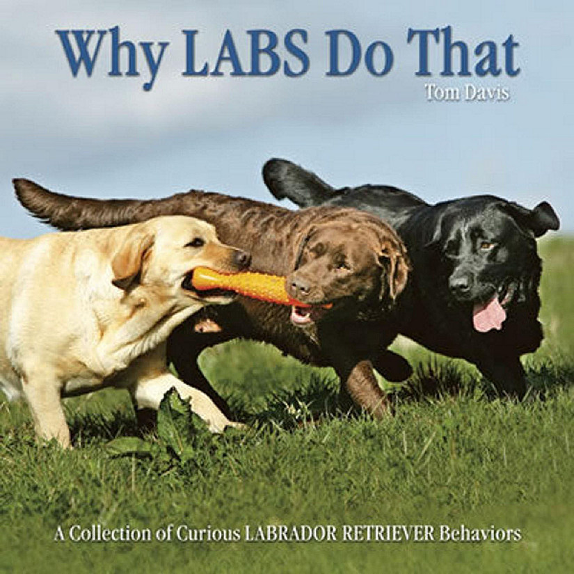 Willow Creek Press Book Why Labs Do That Image