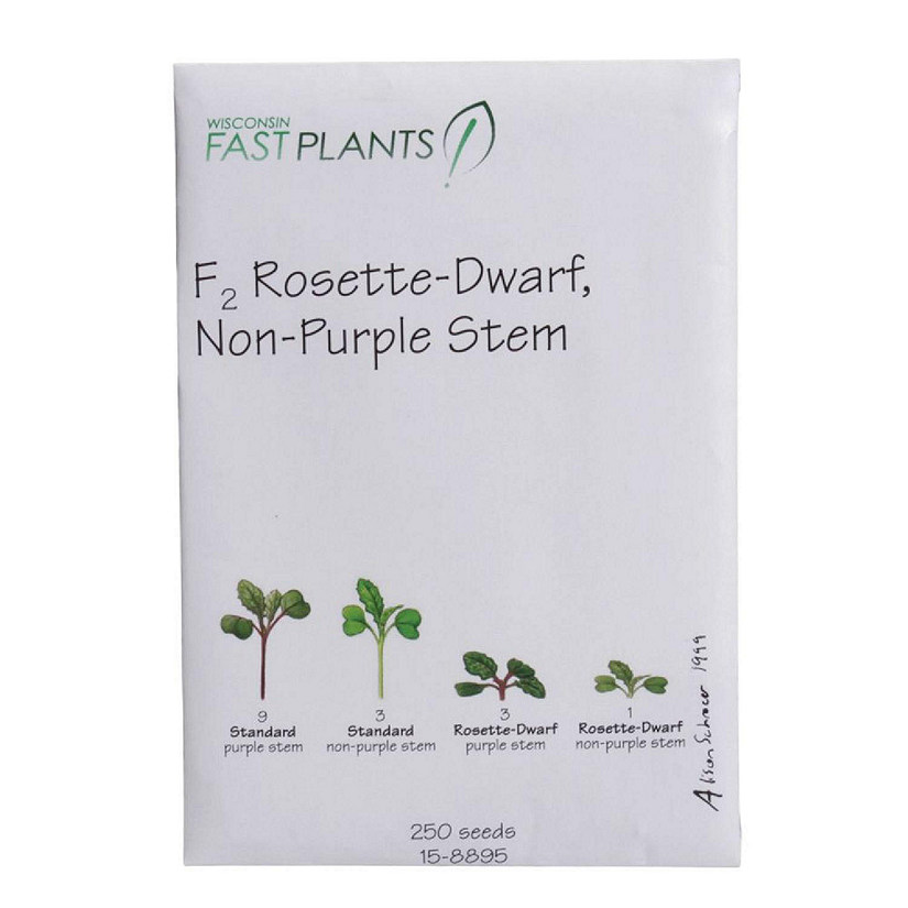Wisconsin Fast Plants   F<sub>2</sub> Rosette-Dwarf, Non-Purple Stem Seed (F<sub>2</sub> Rosette, Anthocyaninless), P Image