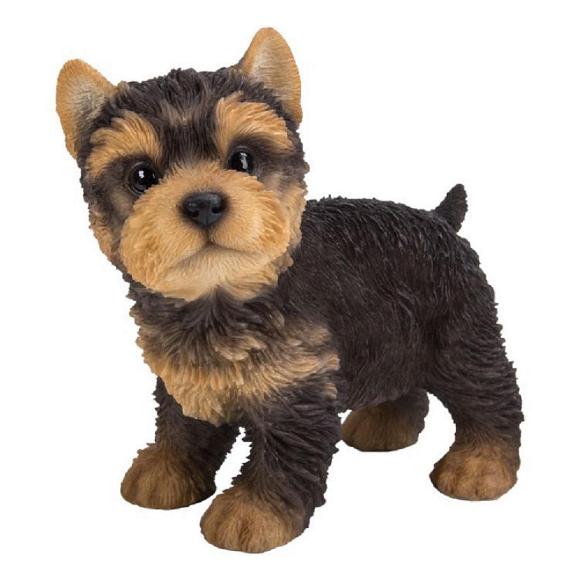 Yorkshire Terrier Pup Standing Figurine Dog Puppy New Image