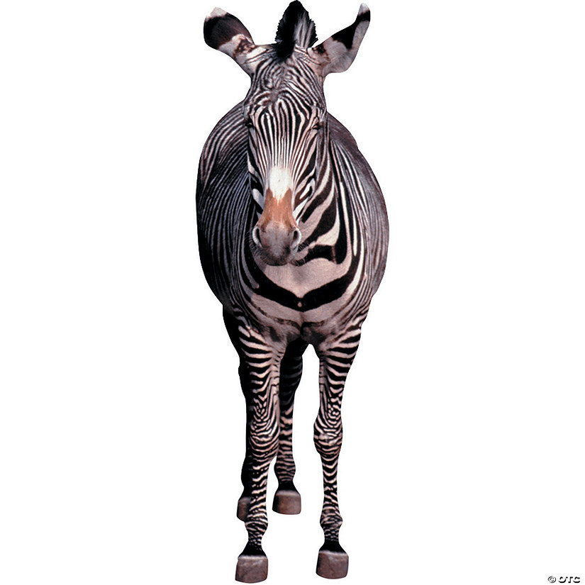 Zebra Cardboard Stand-Up Image