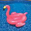 giant flamingo pool