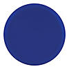 10" Light Blue Flat Round Disposable Plastic Dinner Plates (120 Plates) Image 1