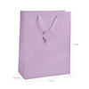 10" x 13" Large Pastel Paper Gift Bags - 12 Pc. Image 1