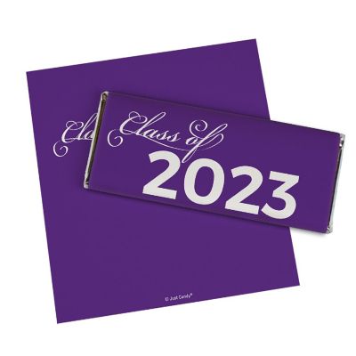 12ct Purple Graduation Candy Party Favors Class of 2024 Wrapped Chocolate Bars by Just Candy Image 1