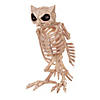13.5" Owl Skeleton Decoration Image 1