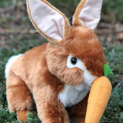 16" Plush Brown Bunny with Mini Carrot Image 1