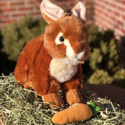 16" Plush Brown Bunny with Mini Carrot Image 1