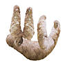 19 1/2" Wild Encounters Sloth Jointed Cutouts - 2 Pc. Image 3