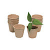 2" Small Biodegradable DIY Watch It Grow Seed Pots - 24 Pcs. Image 1