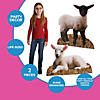 23 1/4" - 32 1/2" Lamb Cardboard Animal Cutout Stand-Ups - 2 Pc. Image 2