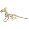 23" Skeleton Dragon Prop Image 2