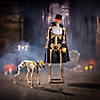 36 1/2" x 62 1/4" Animated Skeleton & Dog Halloween Decorations Image 1