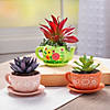 4 5/8" DIY Paintable Ceramic Tea Cup Planters with Saucer - 6 Pc. Image 3