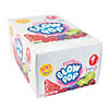 4 Lb. 1 oz. Bulk 100 Pc. Charms&#174; Assorted Fruit-Flavored Blow Pops&#174; Box Image 1