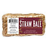 5" x 2 1/2" x 2 1/2" Medium Natural Straw Hay Bale Image 3