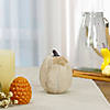 6.25" White Pumpkin Autumn Harvest Thanksgiving Tabletop Decoration Image 1