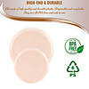 8.5" Pink Flat Round Disposable Plastic Appetizer/Salad Plates (120 Plates) Image 2