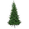 9.5' Winona Fir Artificial Christmas Tree  Unlit Image 1