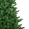 9.5' Winona Fir Artificial Christmas Tree  Unlit Image 2