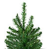 9.5' Winona Fir Artificial Christmas Tree  Unlit Image 3