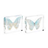 Acyrlic Butterfly Decor (Set Of 4) 5.5"L X 4.5"H Acrylic Image 1