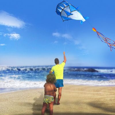 AGPtek Huge 3D Flying Blue Dolphin Kite Image 2