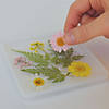 Art 101 Resin Flower Coasters Image 3