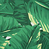 Banana Leaf Outdoor Tablecloth 60X84 Image 3