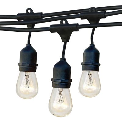 Brightech&#8482; Ambience Pro Weatherproof Incandescent Commercial Grade String Lights - 7 Glass Bulbs, 11W, 24 Ft Image 1