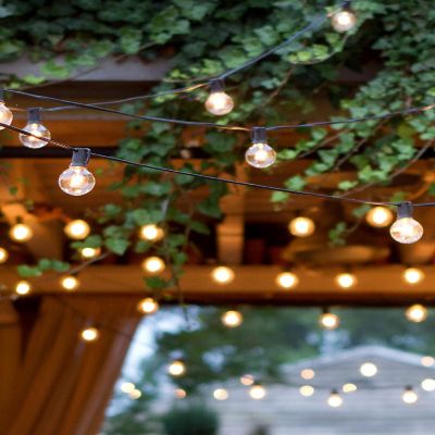 Brightech&#8482; Ambience Pro Weatherproof LED String Lights - 12 Glass Bulbs, 24 Ft, Black Cord Image 2