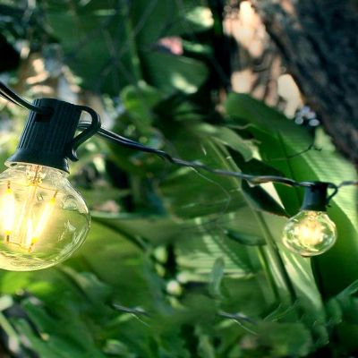 Brightech&#8482; Ambience Pro Weatherproof LED String Lights - 12 Glass Bulbs, 24 Ft, Black Cord Image 3